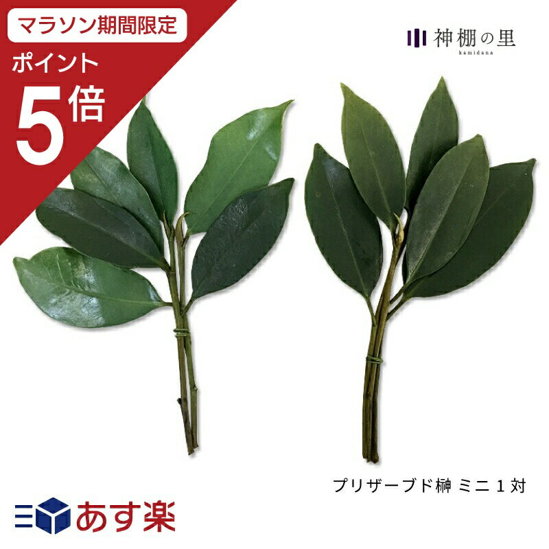 外宮 板宮造り 1尺（高さ77cm）国産品 木曽ヒノキ製（No.18) 向拝宮 稲荷宮 稲荷神 祠 ほこら 外宮 日本製 木曽檜 木曽桧 通販 販売 ※この商品は【代引き不可】の商品です。