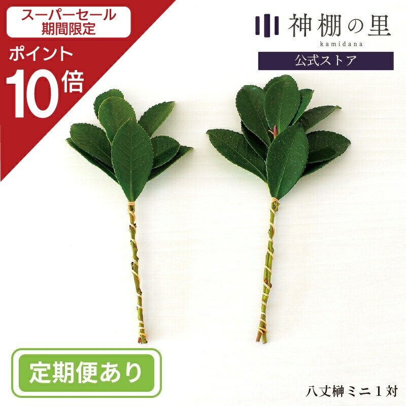 【スーパーSALE限定ポイント10倍】 