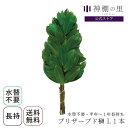 【数量限定・モニター価格】 神棚 榊 お供え 長持ち 水やり不要 プリザーブド榊 L 1本 送料無料