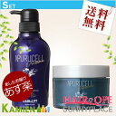 ˡץ쥤 ʥΥץ ǻ̩ץ륻ޥס 350mL &ȥ꡼ȥ150g å ڥץߥ ڥΥ󥷥ꥳ