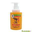 熊野油脂 薬用柿渋 泡ボディソープ 500ml【ドラッグストア】【ゆうパック対応】