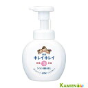 ライオン キレイキレイ 薬用 泡ハンドソープ シトラスフルーティの香り 250ml【ドラッグストア】【宅急便対応】