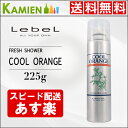ルベル クールオレンジ フレッシュシャワー 225g スキャルプトリートメント