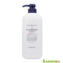 ルベル ナチュラル ヘアトリートメント ウィズ ライスプロテイン 720ml ポンプ【宅急便対応】