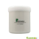 ハホニコプロ ラメイ プロトメント 550g【宅急便対応】