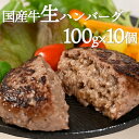 【当店イチオシ】国産牛 100% 冷凍 生 ハンバーグ 手作り 100g×10個 冷凍 個包装 手ごね 惣菜