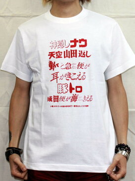 【おふざけTシャツ】組み合わせ