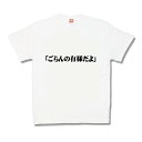 【おもしろTシャツ】ごらんの有様だよ