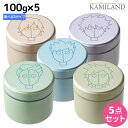アリミノ スパイスネオ ワックス 100g ×5個 《ライトハード・ファイバー・ハード・グリース・フリーズキープ》 選べるセット / 【送料無料】 美容室 サロン専売品 美容室専売品 おすすめ品 スタイリング剤