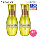 ★最大2,000円OFFクーポン配布中★ミルボン ディーセス エルジューダ リンバーセラム 120mL × 2個セット / 【送料無料】 洗い流さない トリートメント アウトバス ミルボン 美容室専売品 milbon ヘアケア おすすめ 美容院 サロン専売品 ヘアオイル