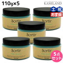 【ポイント3倍!24日20時から】タマリス ソルティール ファイバーインワックス 110g ×5個 セット / 【送料無料】 美容室 サロン専売品 スタイリング剤 おすすめ ヘアワックス スタイリング ワックス うるおい感