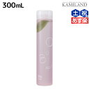 【5/1限定ポイント3倍】アジュバン Re: ナチュラル シャンプー 300mL /【送料無料】 美容室 サロン専売品 美容院 ヘアケア ダメージ 補修 敏感肌 地肌 パサつき ツヤ