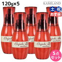 ★最大2,000円OFFクーポン配布中★ミルボン ディーセス エルジューダ エマルジョン + (プラス) 120g × 5個 セット /  洗い流さない トリートメント アウトバス ミルボン 美容室専売品 milbon ヘアケア おすすめ 美容院 サロン専売品 ヘアオイル