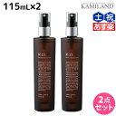 【5/5限定ポイント2倍】サンコール R-21 R21 スキャルプサプリ V 115mL ×2個 セット / 【送料無料】美容室 サロン専売品 美容院 ヘアケア エイジングケア 頭皮ケア スカルプケア スキャルプケア