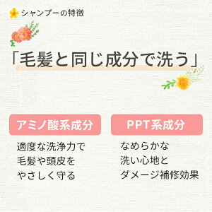 シャンプー