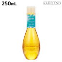 【ポイント3倍!24日20時から】デミ ヘアシーズンズ アロマシロップス ミステリアスウィンド シャンプー 250mL / サロン専売品 美容院 ヘアケア demi ノンシリコン シリコンフリー デミ 美容室 おすすめ品