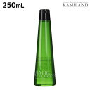 【5/1限定ポイント3倍】デミ ヘアシーズンズ カームリー ウォッシュ 250mL / サロン専売品 美容院 ヘアケア demi ノンシリコン シリコンフリー デミ 美容室 おすすめ品