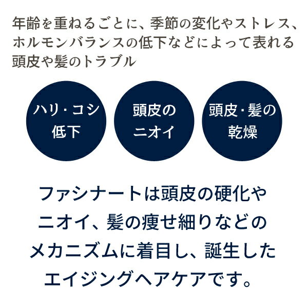 フィヨーレ ファシナート インナーエレメンツ エマルジョン EX 100mL × 2個 セット / 美容室 サロン専売品 美容院 ヘアケア fiore フィヨーレ おすすめ品