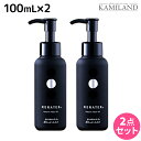 【5/1限定ポイント3倍】ハホニコ ケラテックス ファイバー オイル 100mL ×2個 セット / 【送料無料】 洗い流さないトリートメント 美容室 サロン専売品 美容院 ヘアケア ダメージケア 枝毛 切れ毛 褪色防止