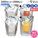 デミ ヘアシーズンズ シャンプー 2000mL 詰め替え ×2個 + トリートメント 2000g 詰め替え ×2個 《スムース・モイスチャー・エクストラ》 選べ...