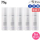 デミ フローディア モイストケアミルク 75g ×5個 セット / 【送料無料】 洗い流さないトリートメント アウトバス トリートメント 美容室 サロン専売品 美容院 ヘアケア ダメージケア ヘアミルク ツヤ 保湿 パサつき 広がり うるおい まとまり