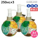 【ポイント3倍!24日20時から】モルトベーネ ロレッタ ウェーブジュレ 250mL ×3個 セット / 【送料無料】スタイリング剤 美容室 サロン専売品 美容院 ヘアケア おすすめ品 moltobene loretta ヘアジェル スタイリングジェル ビューティーエクスペリエンス