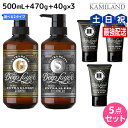 【ポイント3倍!10日0時から】モルトベーネ ディープレイヤー シャンプー 500mL + トリートメント 470g + H 40g ×3個 《ExG・ExS》...
