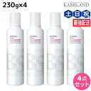 【ポイント3倍!24日20時から】アリミノ BSスタイリング シャイニング フォーム 230g ×4個 セット / 【送料無料】 美容室 サロン専売品 美容院 ヘアケア スタイリング剤 ヘアムース フォーム ダメージケア 保湿 ツヤ