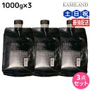 【ポイント3倍!24日20時から】ハホニコ ケラテックス ファイバー トリートメント 1000g 詰め替え ×3個 セット / 【送料無料】 業務用 美容室 サロン専売品 美容院 ヘアケア ダメージケア 枝毛 切れ毛 褪色防止