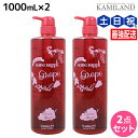 【11/1限定ポイント3倍】サニープレイス ヘアオペ ナノサプリ クレンジングシャンプー グレープ 1000mL ×2個 セット / 美容室 サロン専売品 美容院 ヘアケア サニープレイス