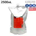 ルベル イオ クレンジング(シャンプー) クリアメント 2500mL / 【送料無料】 詰め替え 業務用 2.5L 美容室 サロン専売品 美容院 ヘアケア ルベル セット おすすめ タカラベルモント lebel