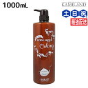 【ポイント3倍!24日20時から】サニープレイス ヘアオペ ナノサプリ トリートメント ウーロン 1000mL / 業務用 1L 美容室 サロン専売品 美容院 ヘアケア サニープレイス おすすめ