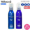【ポイント3倍!24日20時から】サニープレイス アプルセルプレミアム 薬用ヘアパック 165mL × 2個 《さらっと・しっとり》 選べるセット 育毛剤 / 美容室 サロン専売品 美容院 ヘアケア サニープレイス おすすめ