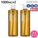 フィヨーレ Fプロテクト ベーシックタイプ シャンプー 1000mL ボトルタイプ × 2個 セット / 【送料無料】 ボトル 美容室 サロン専売品 美容院 ヘアケア fiore フィヨーレ おすすめ品
