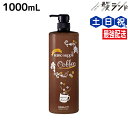 サニープレイス ヘアオペ ナノサプリ エッセンス トリートメント プレミアム コーヒー1000mL / 美容室 サロン専売品 美容院 ヘアケア 低刺激 ノンシリコン 入眠効果
