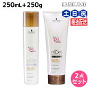 【ポイント3倍!10日0時から】シュワルツコフ BCクア カラースペシフィーク シャンプー a 250mL + トリートメント a 250g セット / 美容室...