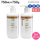 シュワルツコフ BCクア カラースペシフィーク シャンプー a 750mL + トリートメント a 750g セット / 【送料無料】 美容室 サロン専売品 美...