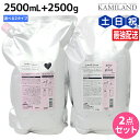 【5/5限定ポイント2倍】ミルボン ジェミールフラン シャンプー 2500mL + トリートメント 2500g 《ハート・ダイヤ・シルキーシャイニー・ジューシー...