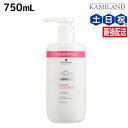 【5/1限定ポイント3倍】シュワルツコフ BCクア フォルムコントロール シャンプー a 750mL / 美容室 サロン専売品 美容院 ヘアケア schwarzkopf シュワルツコフ おすすめ品