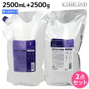【8/20限定ポイント2倍】ミルボン プラーミア ヘアセラム シャンプー 2500mL + トリートメント 2500g 《F・M》 選べる セット / 【送料無料】 詰め替え 業務用 2.5L 2.5Kg ミルボン 美容室専売品 おすすめ品 milbon おすすめ 頭皮ケア エイジングケア