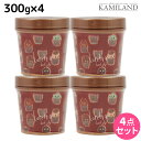 【6/22は4H限定ポイント3倍】モルトベーネ ロレッタ ハードゼリー 300g ×4個 セット / 【送料無料】スタイリング剤 美容室 サロン専売品 美容院 ヘアケア おすすめ品 moltobene loretta ヘアジェル スタイリングジェル ハードジェル ビューティーエクス