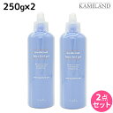 【5/5限定ポイント2倍】ナプラ 薬用フェアリーフィールゲル 250g × 2個 セット / 美容室 サロン専売品 美容院 ヘアケア napla ナプラ セット...
