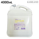 【4/20限定ポイント2倍】ナプラ HB ファンタスケア D シャンプー 4000mL / 【送料無料】 詰め替え 業務用 4L 美容室 サロン専売品 美容院 ヘアケア napla ナプラ セット オススメ品