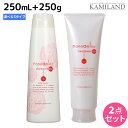 【5/1限定ポイント3倍】ニューウェイジャパン ナノアミノ シャンプー 250mL + トリートメント 250g 《RM・RS・RM-RO》セット / 【送料無料】 美容室 サロン専売品 美容院 ヘアケア おすすめ