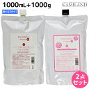 【ポイント3倍!24日20時から】ニューウェイジャパン ナノアミノ シャンプー 1000mL + トリートメント 1000g 《RM・RS・RM-RO》 セット / 【送料無料】 詰め替え 業務用 1L 1Kg 美容室 サロン専売品 美容院 ヘアケア おすすめ