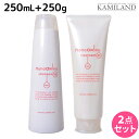 【5/1限定ポイント3倍】ニューウェイジャパン ナノアミノ シャンプー RS 250mL + トリートメント RS 250g (さらさらタイプ) セット / 【送料無料】 美容室 サロン専売品 美容院 ヘアケア おすすめ