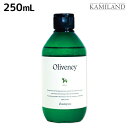 【ポイント3倍!24日20時から】アモロス オリヴァニー OV シャンプー 250mL / 美容室 サロン専売品 美容院 ヘアケア