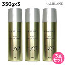 【5/1限定ポイント3倍】リアル化学 レミノ ヘアフリーズスプレー 10 350g ×3個 セット / 【送料無料】 美容室 サロン専売品 美容院 ヘアケア スタイリング剤