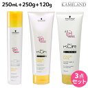 【5/5限定ポイント2倍】シュワルツコフ BCクア カラーセーブ シャンプー a 250mL + トリートメント a 250g + カラーシールドクリーム 120g セット