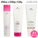 【5/1限定ポイント3倍】シュワルツコフ BCクア フォルムコントロール シャンプー a 250mL + トリートメント a 250g + プロテクションスムース a 120g セット / 【送料無料】 美容室 サロン専売品 美容院 ヘアケア schwarzkopf シュワルツコフ おすす